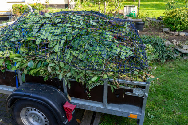 Best Estate Cleanout  in Roosevelt, NY